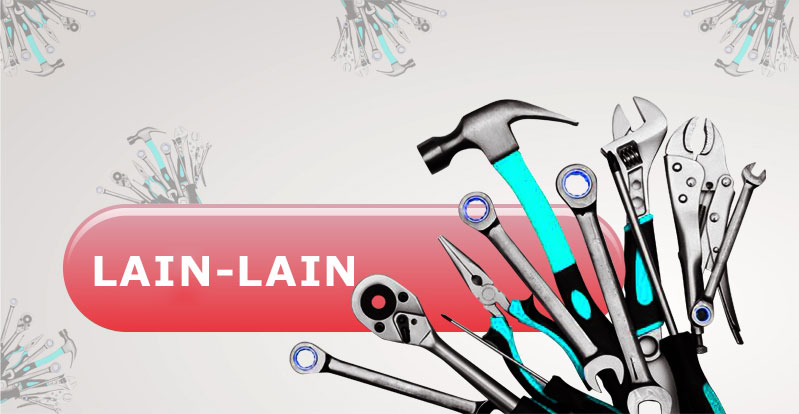 Lain-lain